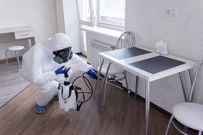 Защита частного дома от насекомых: создание непреодолимого барьера для вредителей