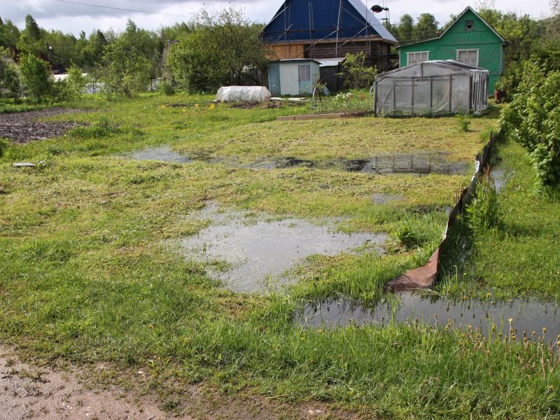 Строительство дома на сыром участке: как выбрать материал для стен