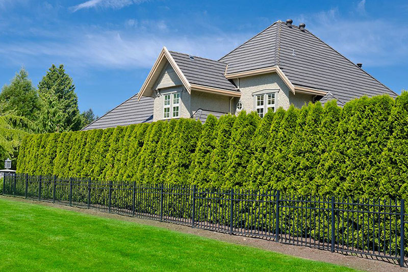 Забор для частного дома: Популярные решения в 2025 году Забор для частного дома: Популярные решения в 2025 году