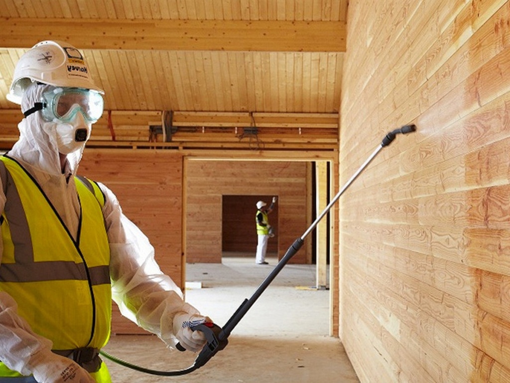 Защита частного дома от насекомых: создание непреодолимого барьера для вредителей